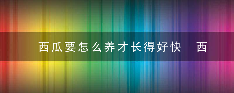 西瓜要怎么养才长得好快 西瓜要如何养才长得好快